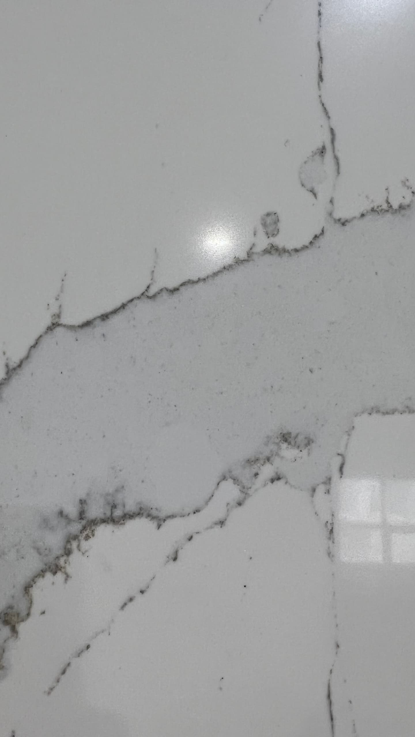 calacatta serchio quartz closeup